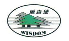 黑螞蝗高級道路灌縫膠應(yīng)用使道路煥然一新
